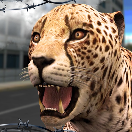 Wild Cheetah Sim 3D survive in the wilderness Icon