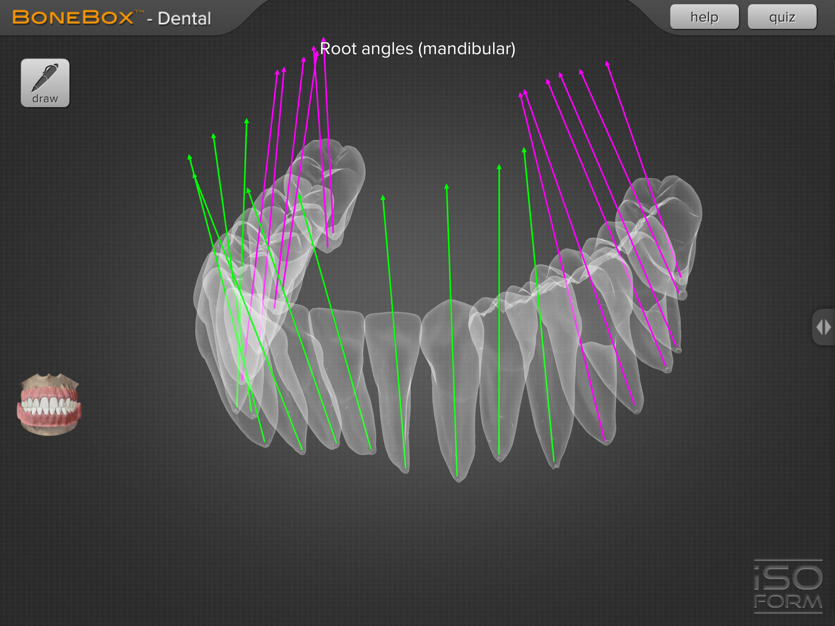 BoneBox™ - Dental Pro screenshot 4