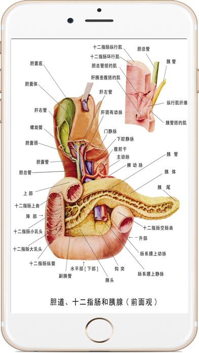 全套人体解剖 screenshot1