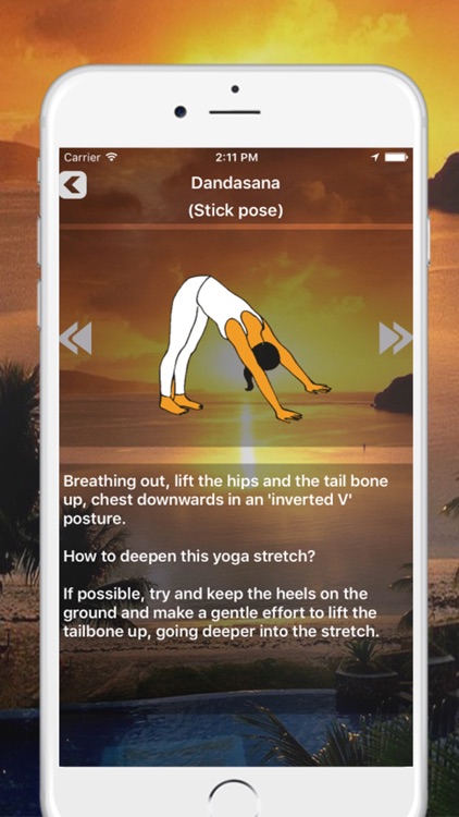 Surya Namaskar - Sun Salutations Yoga Positions screenshot-3