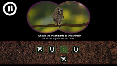 Screenshot #2 pour He Kīrehe Māori / Native Animals