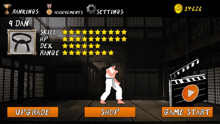 Taekwon Hero Battle Arena screenshot-4