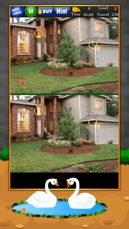 Differences in Garden