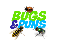 Bugs and Puns