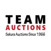 Team Auctions icon