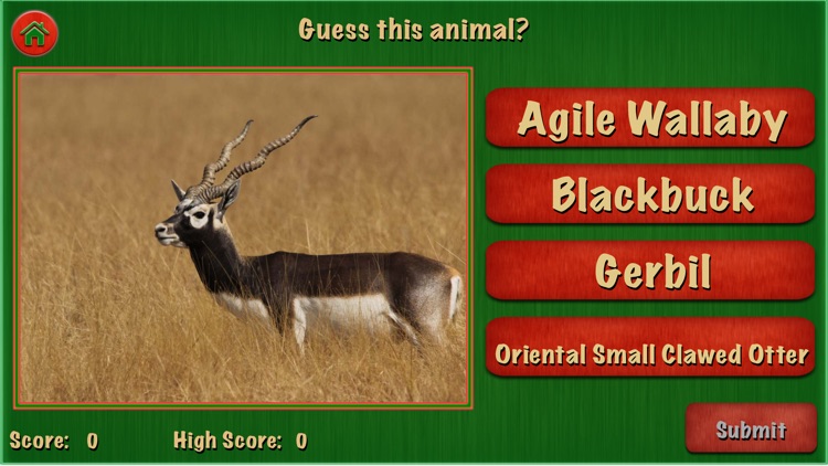 Animal World Pro For Kids and Toddlers Education screenshot-3