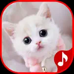 Cute Cat Sounds App Cancel