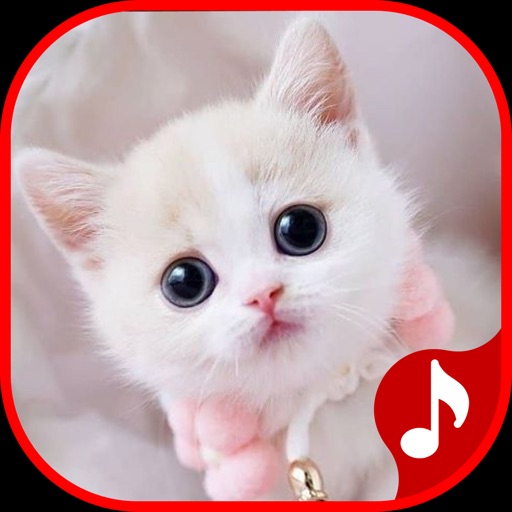 Cute Cat Sounds Icon