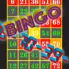 Bingo callout contact information