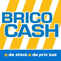 Brico Cash app not working? crashes or has problems?