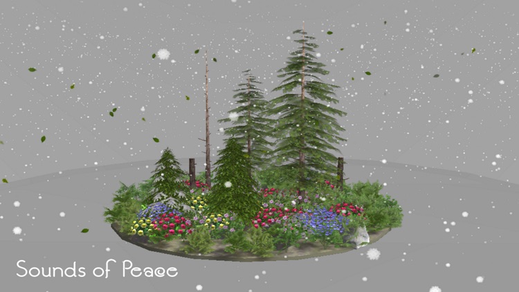 My Diorama Nature