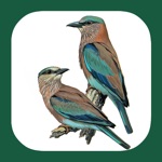 Download Birds of Western Palearctic app