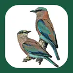 Birds of Western Palearctic App Contact