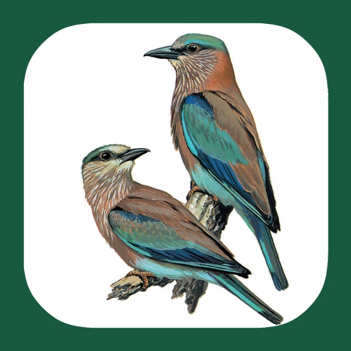 Birds of Western Palearctic icon