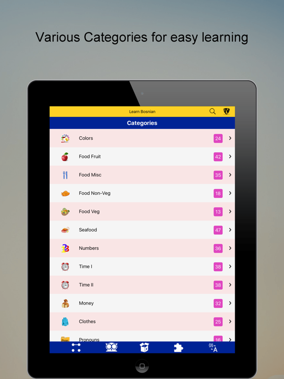 Screenshot #4 pour Learn Bosnian SMART Guide