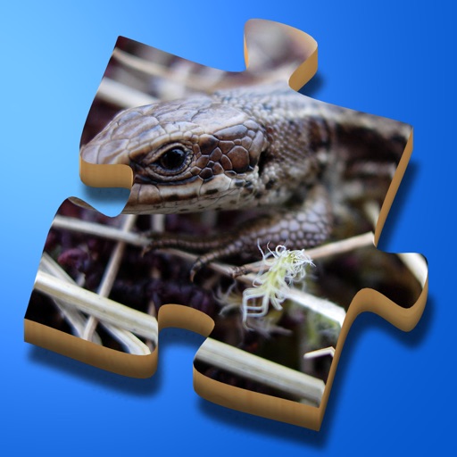 Super Jigsaws Bugs & Creatures icon