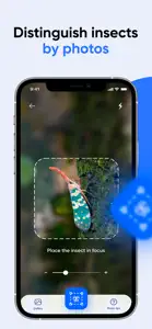 Bug ID: Insect Identifier AI screenshot #6 for iPhone