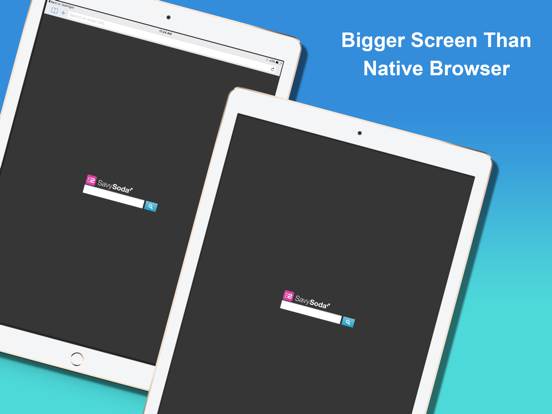 Snowbunny Private Web Browser iPad screenshot 4 - Productivity app