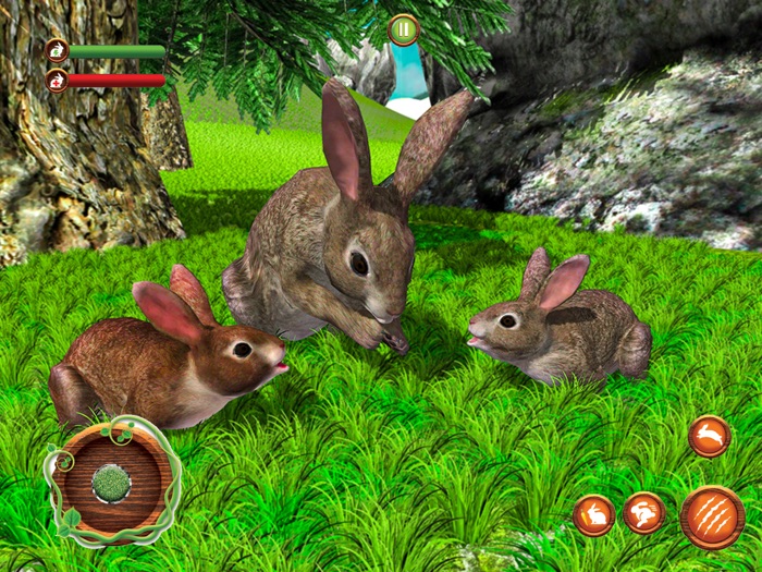 Pet Bunny Rabbit Forest Life
