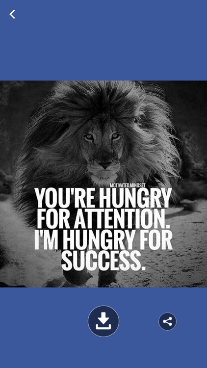 latest quotes and status