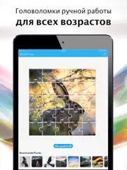 Составные головоломки: Тайны айпад изображения 1