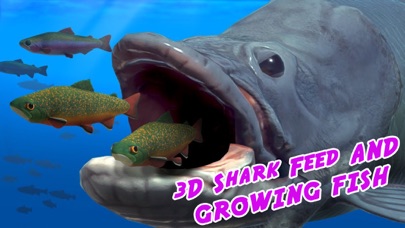 3D Shark Feed and Growing Fish Screenshot