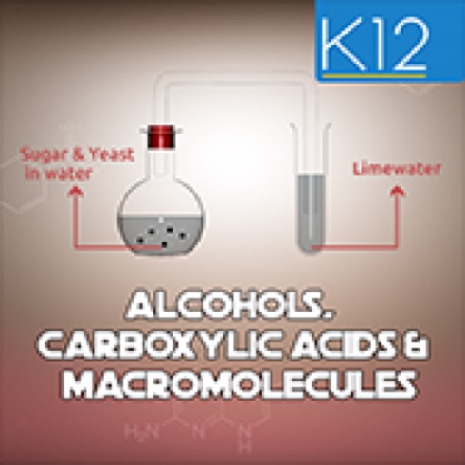 Alcohols & Carboxylic Acids icon