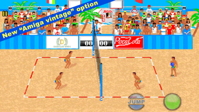 Over The Net Beach Volleyball Screenshot