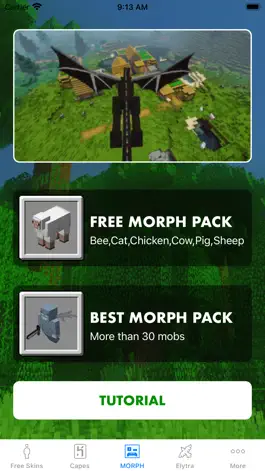 Game screenshot Morph Mod - Mods for Minecraft apk