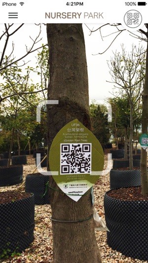 Discover Trees at West Kowloon 西九樹木導賞(圖4)-速報App