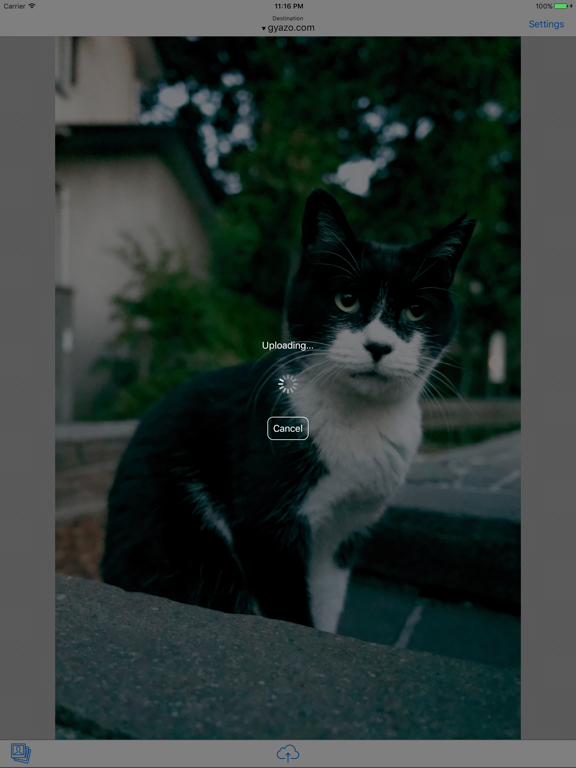 Screenshot #5 pour Lastpic