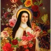 St. Theresa Church - Kasimedu icon