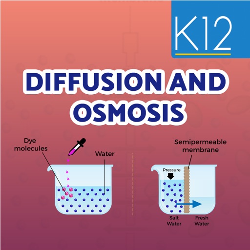 Diffusion and osmosis