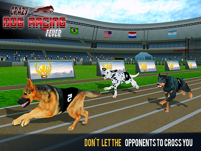 Greyhound 3D Dog Racing Fever - Apps on Google Play
