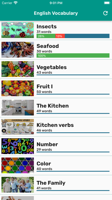 English Vocabulary in Use Screenshot