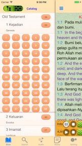 Alkitab Indonesian-English Bilingual Audio Bible screenshot