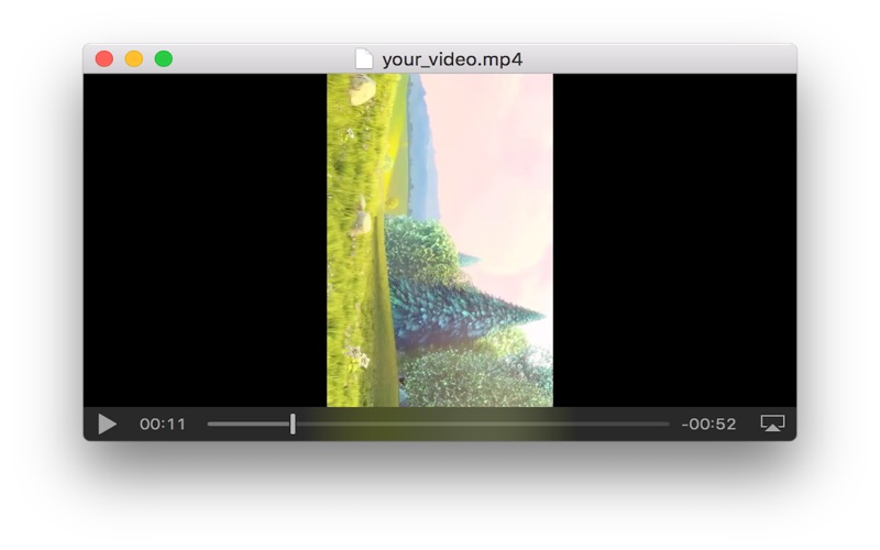 KitchenSinkVideo app screenshot 2