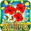 Daisy and Tulips Slot Machine:Play the games