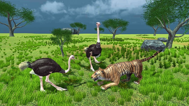 Furious  Ostrich Simulator