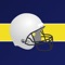 Do you love the Michigan Wolverines