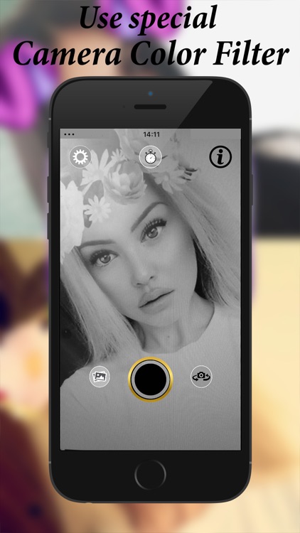 Dog Face Filter Effects Video