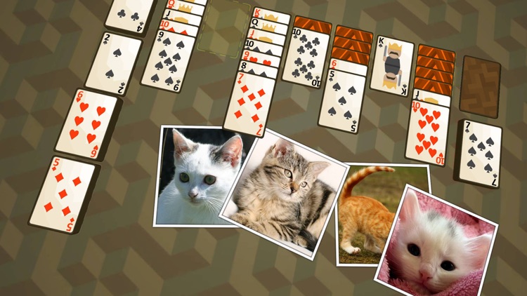 Solitaire Kittens screenshot-3