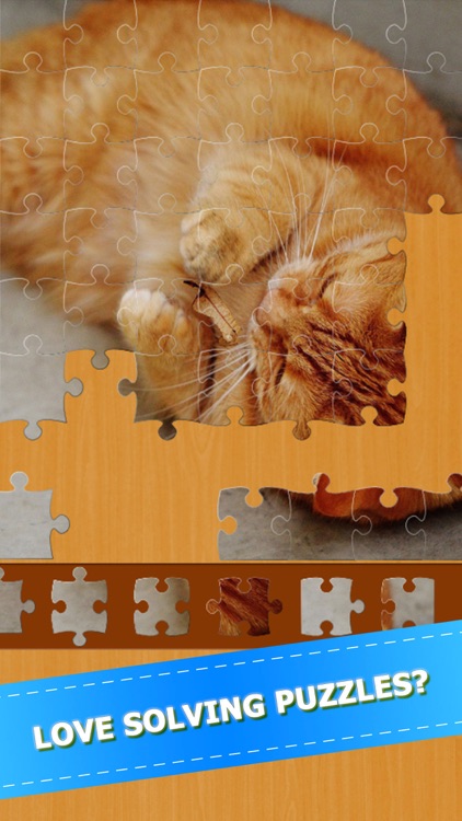 Cat Kitten Kitty Pet Jigsaw Puzzle Sliding Game screenshot-4