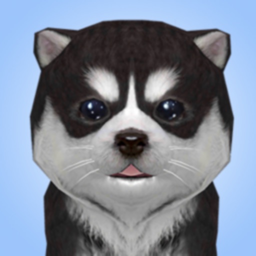 Dog Simulator 2022 Icon