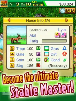 Pocket Stables iPad image 4