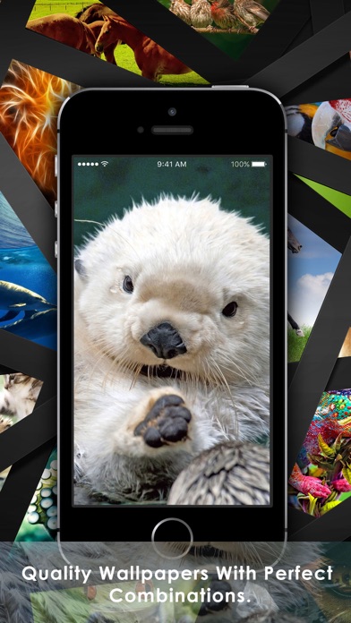 Screenshot #1 pour Cool Animals HD Awesome Themes & Wallpapers