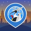 Big City Birds | SPOTTERON icon
