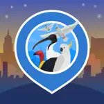 Big City Birds | SPOTTERON App Problems