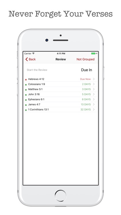 Bible Memory: Scripture Typer Memorization System