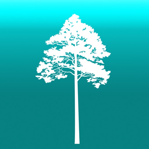Arboreal - Tree height icon